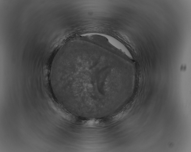 X0000090440366200708031159