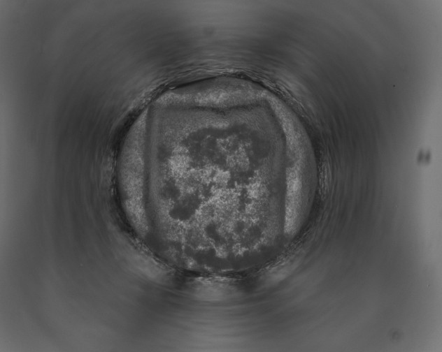 X0000090440367200708031159