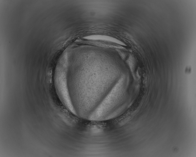 X0000090440368200708031159