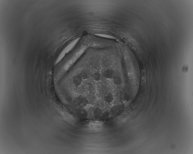 X0000090440369200708031159