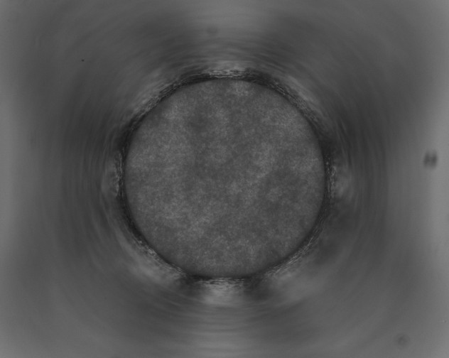 X0000090440370200708031159