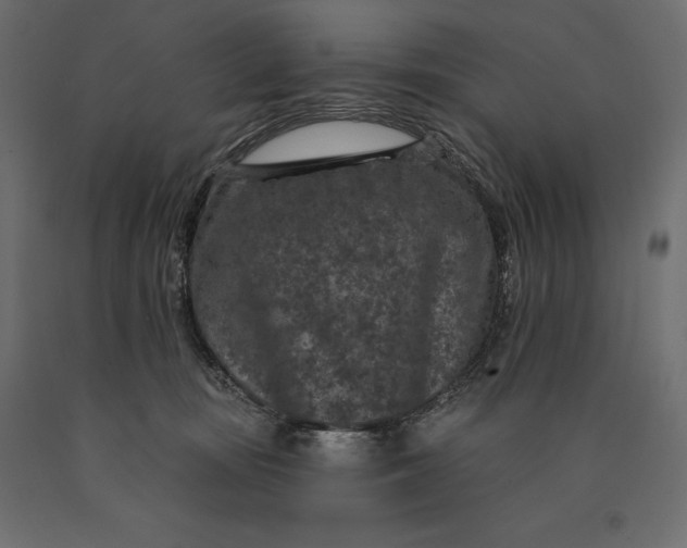 X0000090440371200708031159