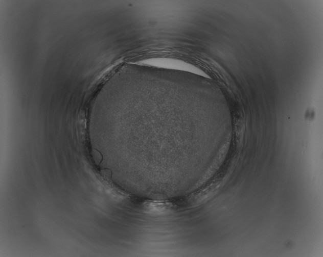 X0000090440372200708031159