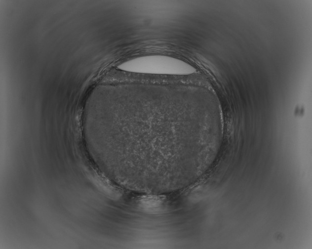 X0000090440373200708031159