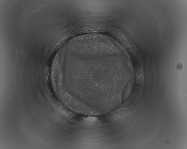 X0000090440374200708031159