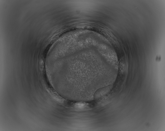 X0000090440375200708031159