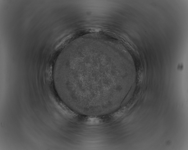 X0000090440376200708031159