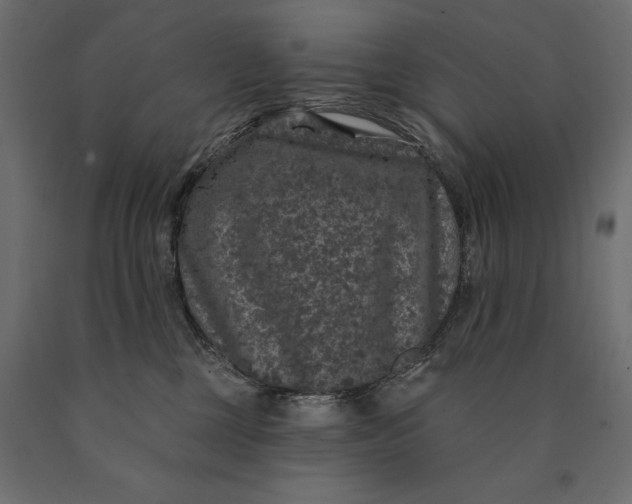 X0000090440377200708031159