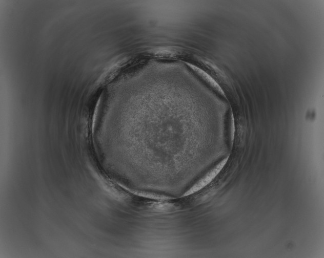 X0000090440379200708031159