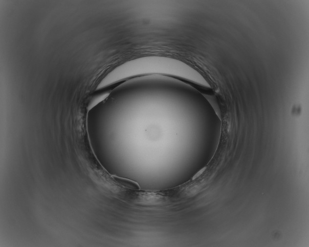 X0000090440380200708031159