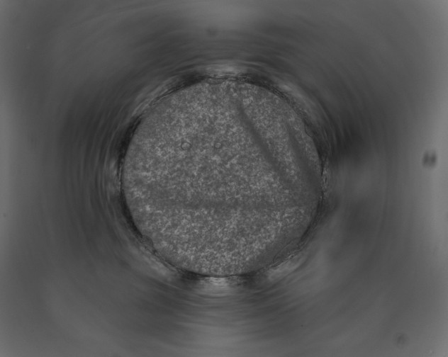 X0000090440381200708031159