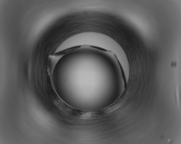 X0000090440382200708031159