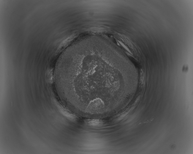 X0000090440383200708031159