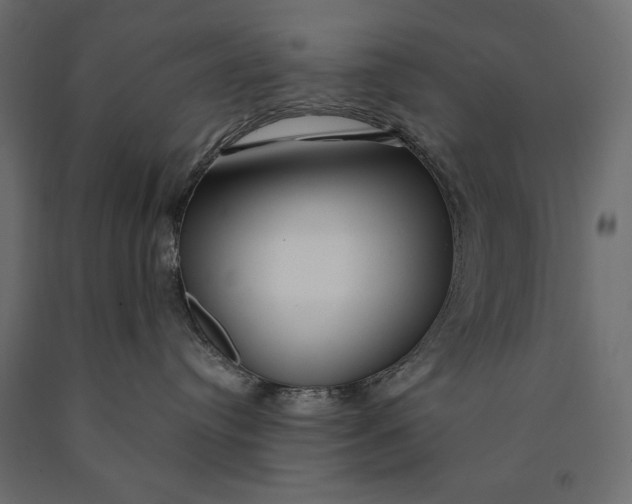 X0000090440384200708031159