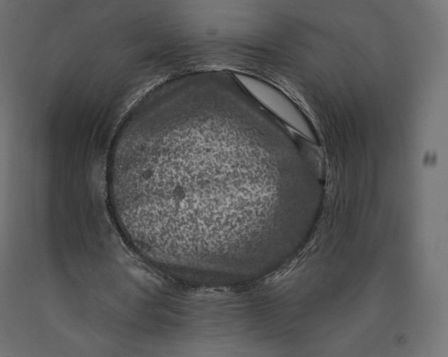 X0000090440386200708031159