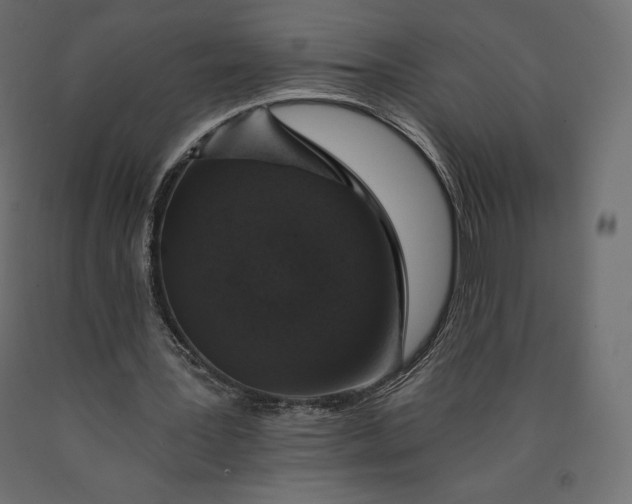 X0000090440387200708031159