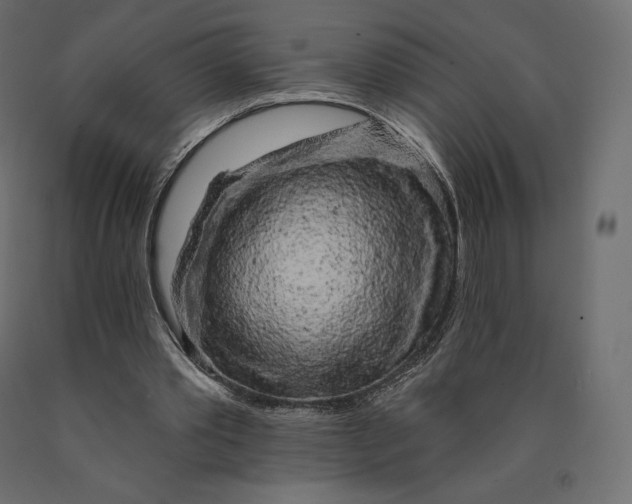 X0000090440389200708031159