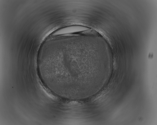 X0000090440390200708031159