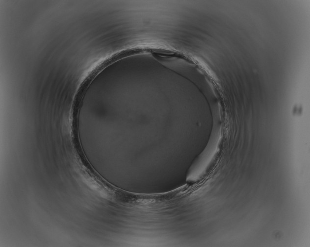 X0000090440391200708031159