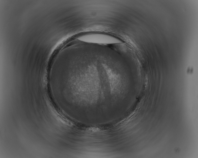 X0000090440392200708031159