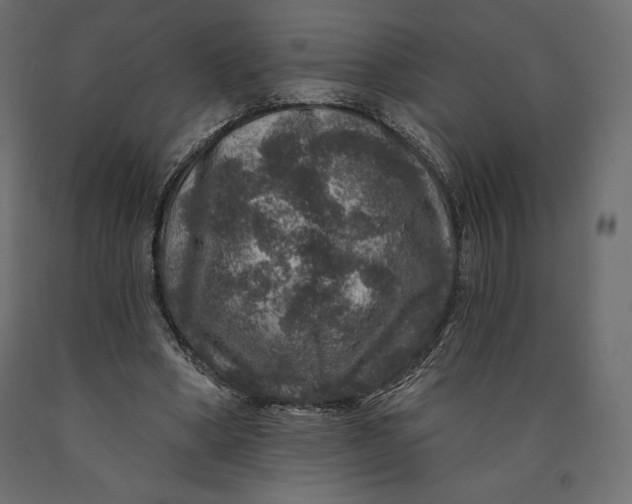 X0000090440394200708031159