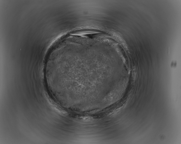 X0000090440395200708031159