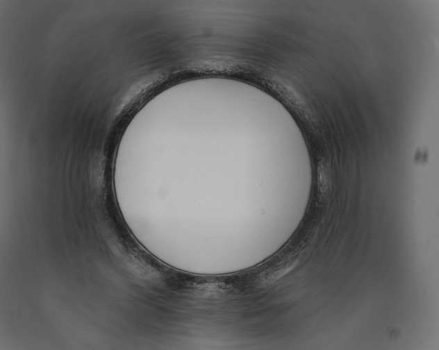 X0000090440396200708031159