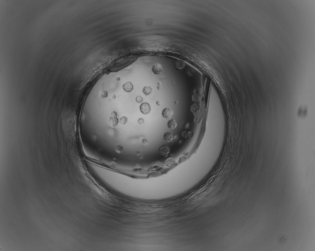 X0000090440397200708031159