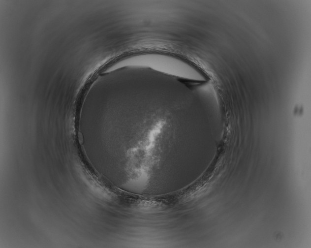 X0000090440399200708031159