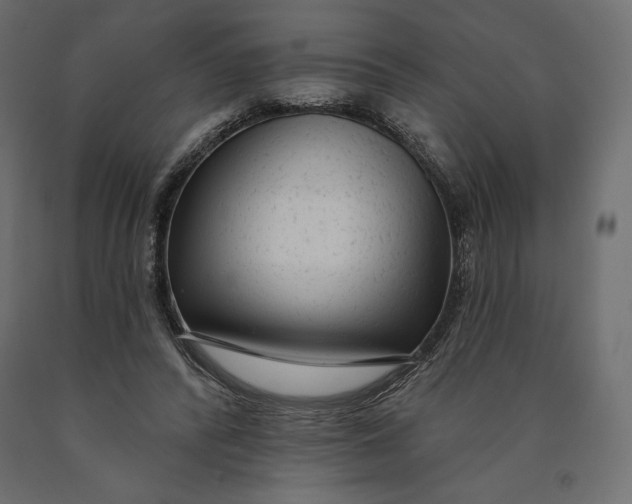 X0000090440400200708031159