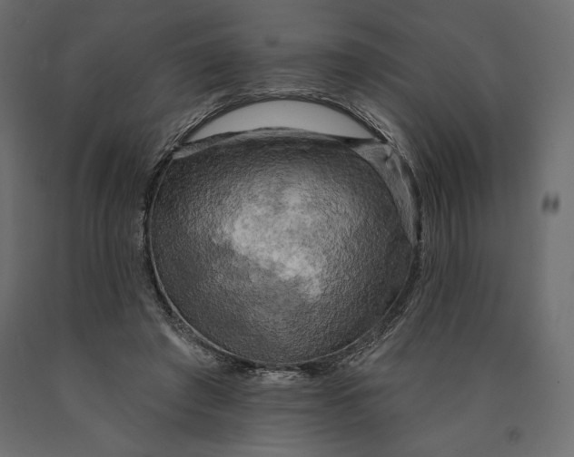 X0000090440401200708031159