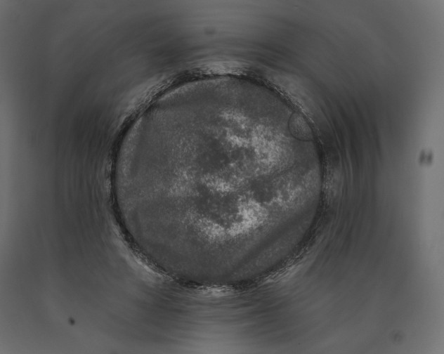 X0000090440402200708031159