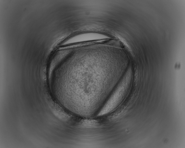 X0000090440403200708031158