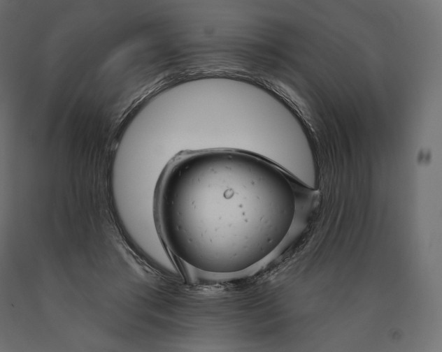 X0000090440405200708031158