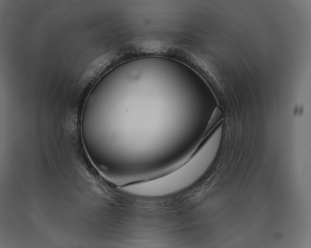 X0000090440407200708031158