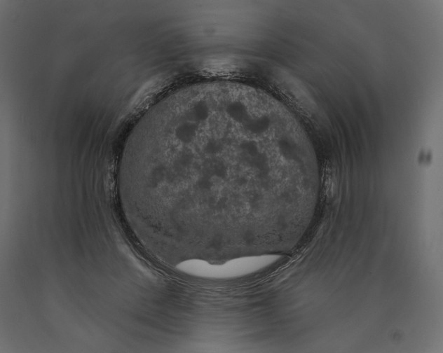 X0000090440408200708031158