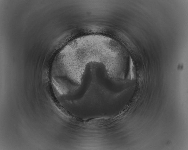 X0000090440410200708031158