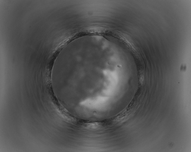 X0000090440411200708031158