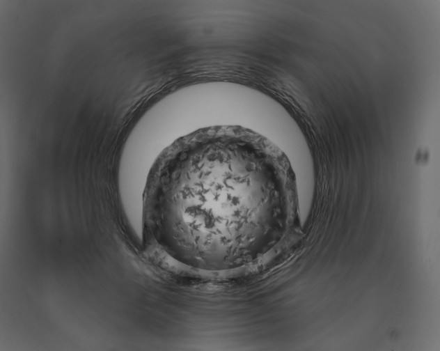 X0000090440412200708031158