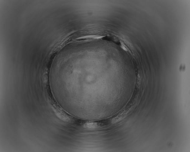 X0000090440413200708031158