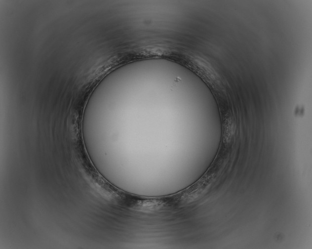 X0000090440414200708031158