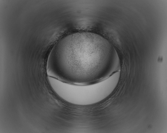 X0000090440416200708031158