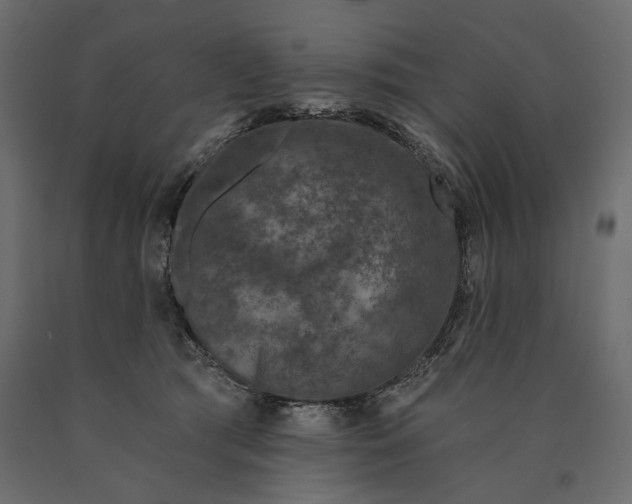 X0000090440417200708031158