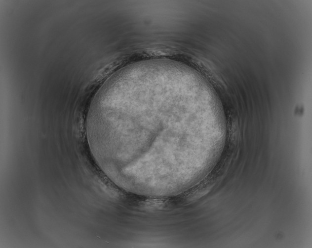 X0000090440418200708031158