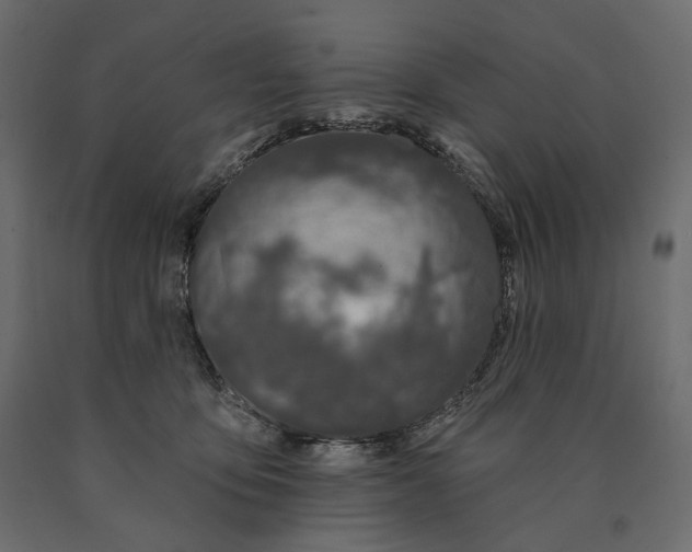 X0000090440419200708031158