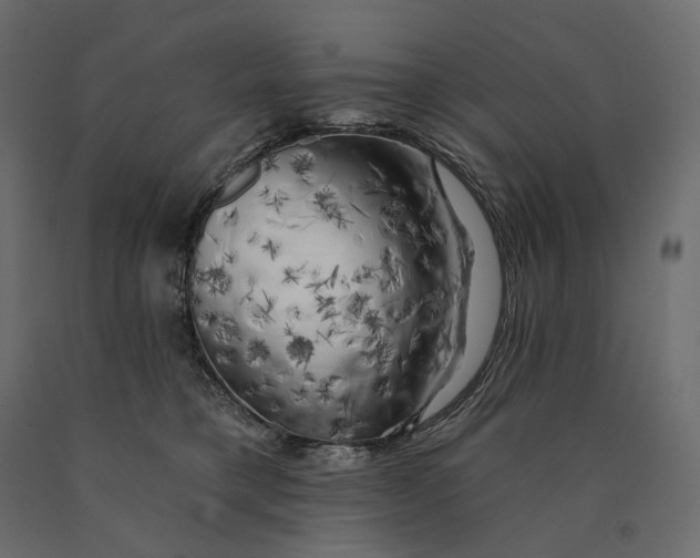 X0000090440421200708031158