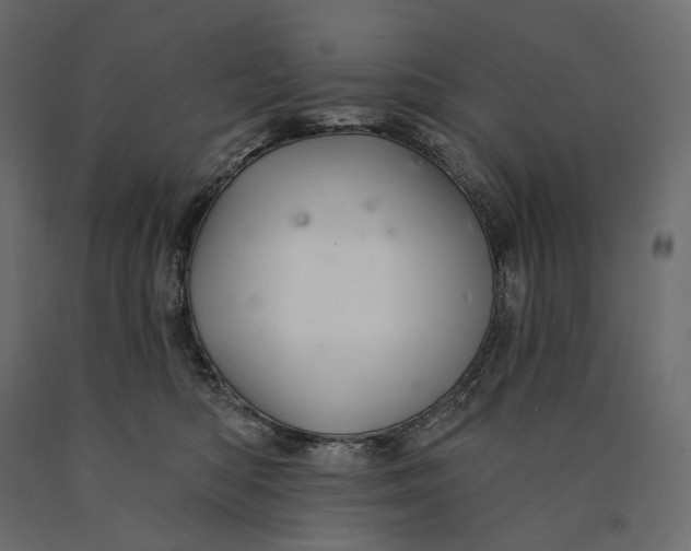 X0000090440422200708031158