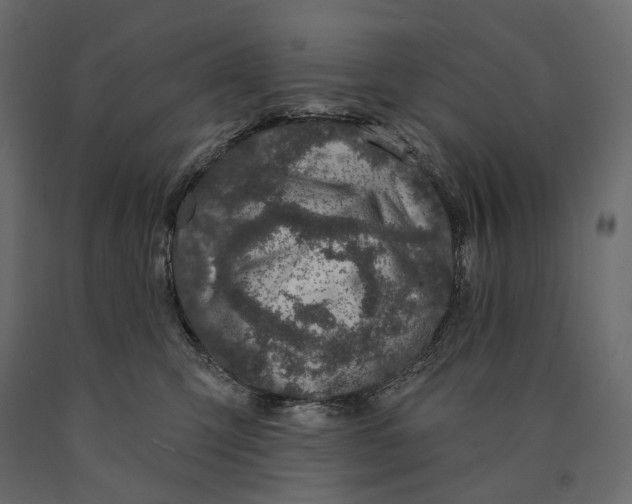 X0000090440423200708031158