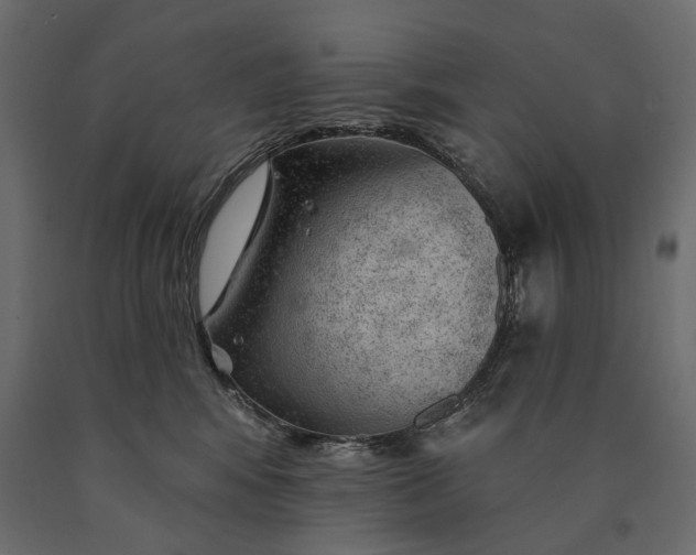 X0000090440424200708031158