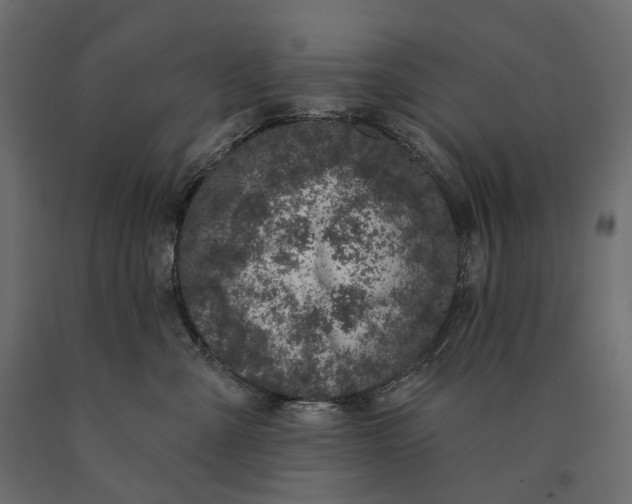 X0000090440427200708031158